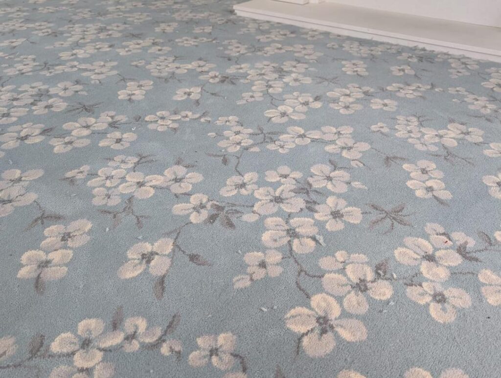 Instagram post from carpetworldni. This post is in position 1.