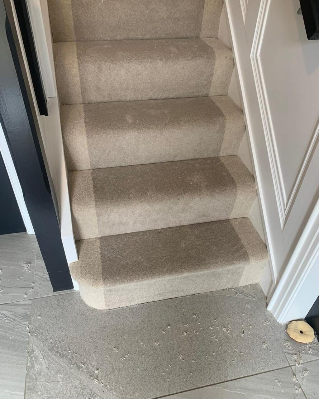 Instagram post from carpetworldni. This post is in position 5.